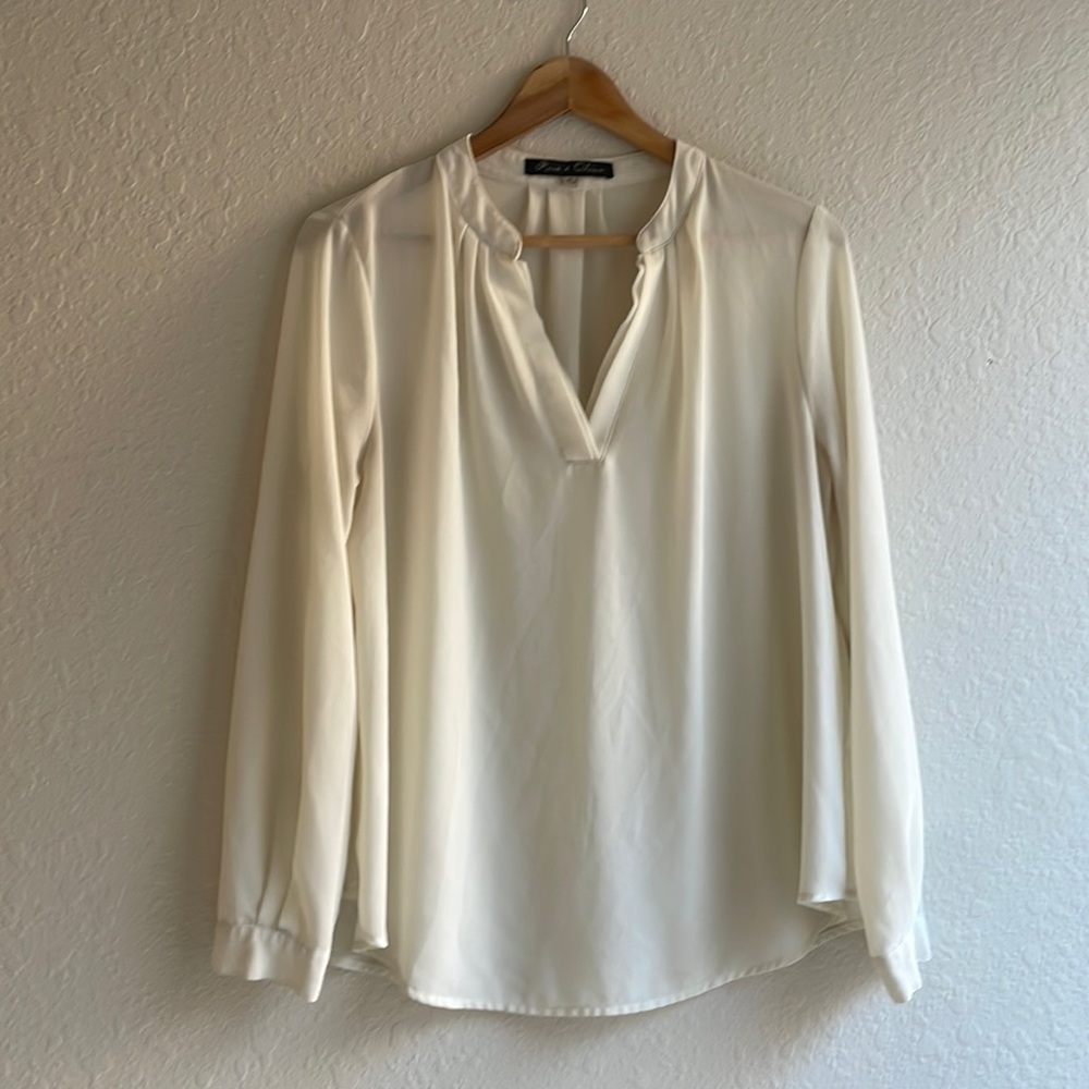 Gorgeous sheer top from Rose and Olivia in size M